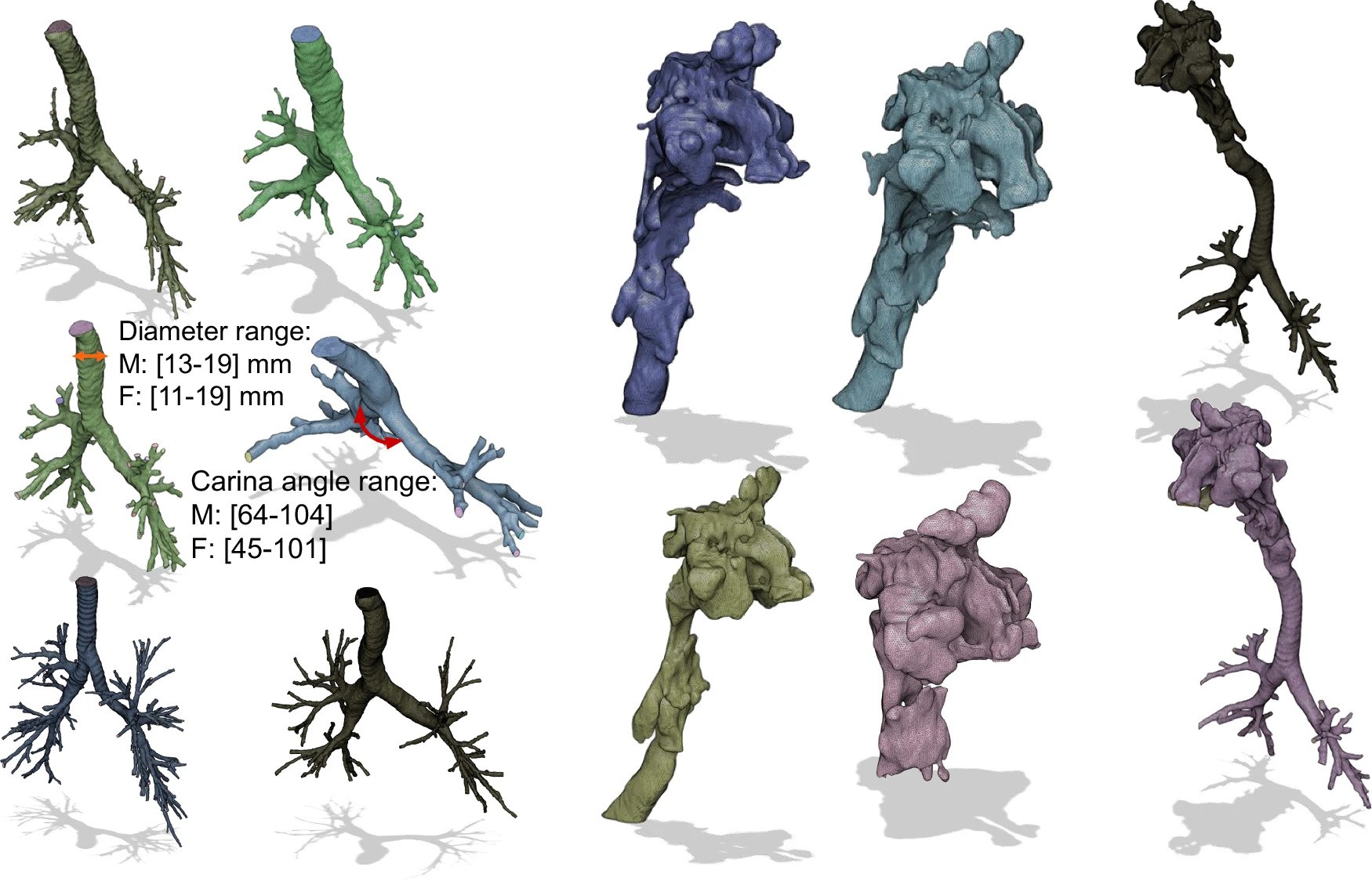 New Research Leveraging 3D Printing Could Enhance Accuracy of Radiation Exposure Assessments