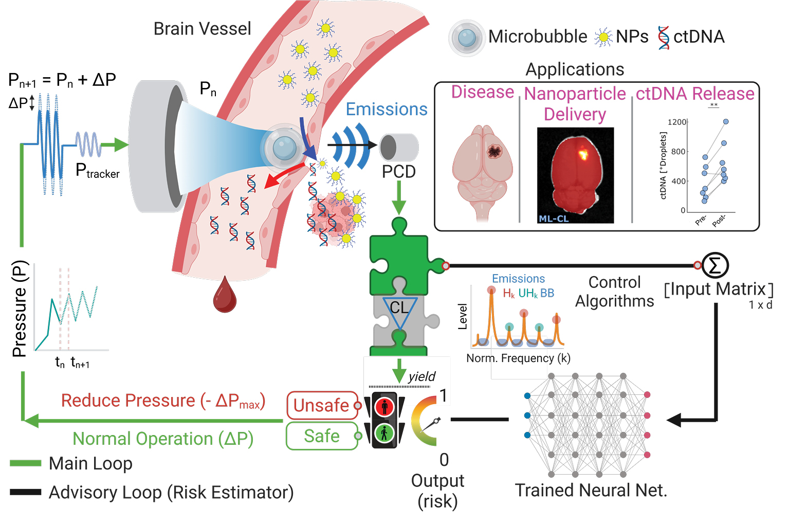AI-Powered Ultrasound Research Expands Possibilities for Treating and Monitoring Brain Disease