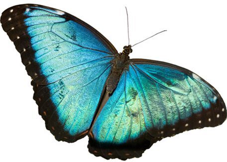 Team FullCircle: (from left( Kenji Bomar, Heyinn Rho, Ananya Jain, Savannah Berry, Sara Thomas Mathew, José Andrade, and Anmbus Iqbal