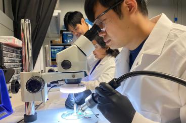 Researchers in Hong Yeo's lab