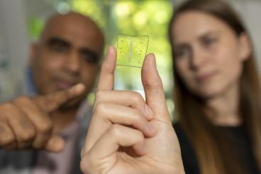 Ankur Singh and Rachel Ringquist point to the microscopic lung-on-a-chip that has a built-in immune system.