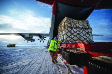 Ice-Cold Yellow Jackets