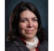 Flexible and Stretchable Lithium Ion Batteries