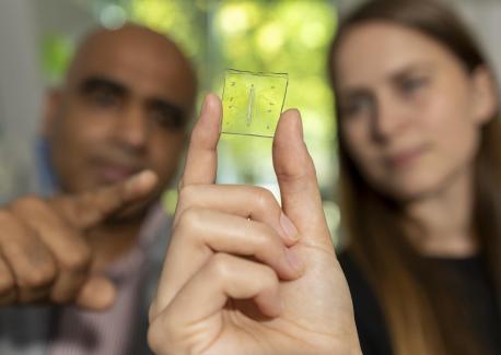 Ankur Singh and Rachel Ringquist point to the microscopic lung-on-a-chip that has a built-in immune system.